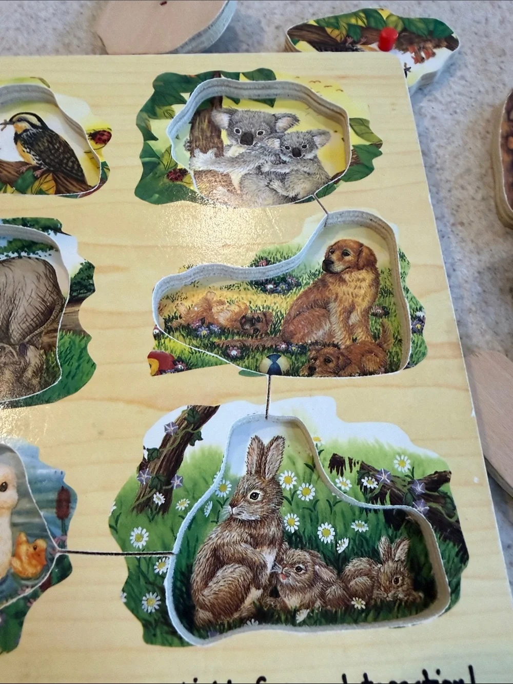 Wooden Melissa and Doug Farm Animal Peg Puzzle - Natural Finish